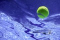 Tennis Summer Concept, Tennis Ball Underwater, Swimming Pool, SummerÃÂ Tennis Camp